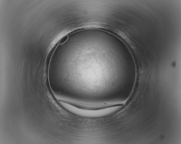 X0000116371469200912161427