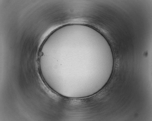 X0000116371470200912161427