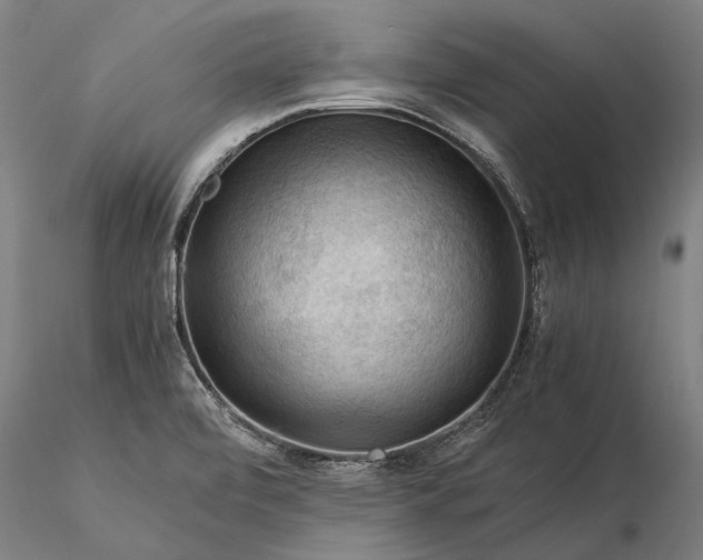 X0000116371472200912161427