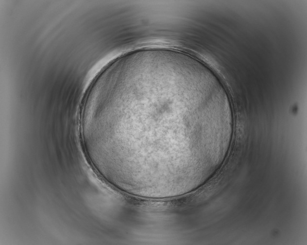 X0000116371474200912161427