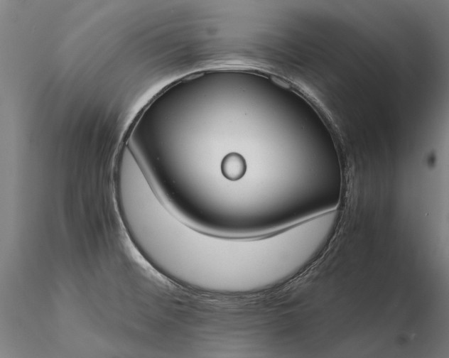 X0000116371476200912161427