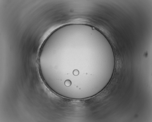 X0000116371478200912161427