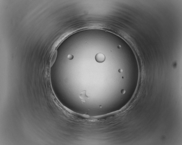 X0000116371481200912161427