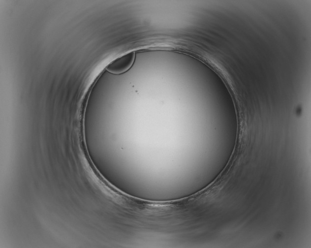 X0000116371483200912161427