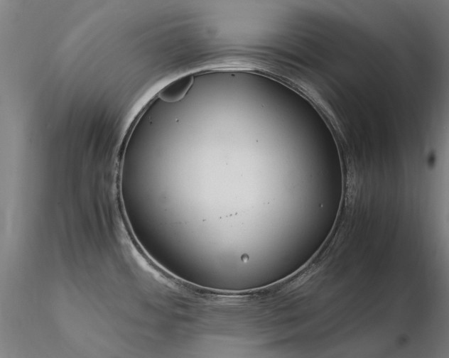 X0000116371484200912161427