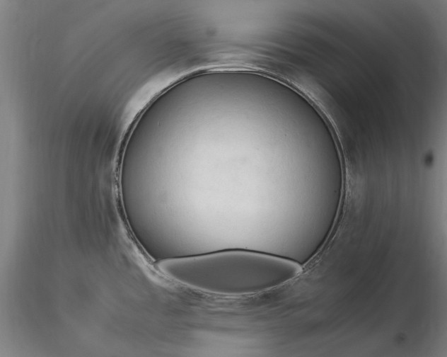 X0000116371485200912161427