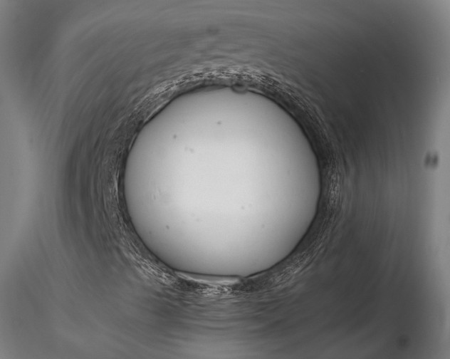 X0000116371489200912161426