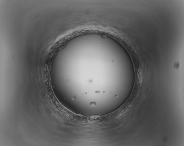 X0000116371494200912161426