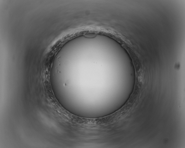 X0000116371495200912161426