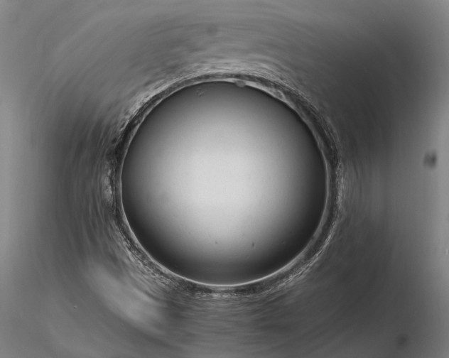 X0000116371497200912161426