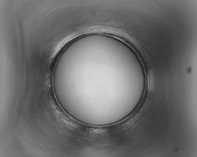 X0000116371501200912161426