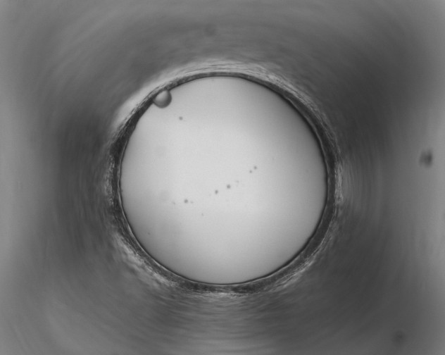 X0000116371502200912161426