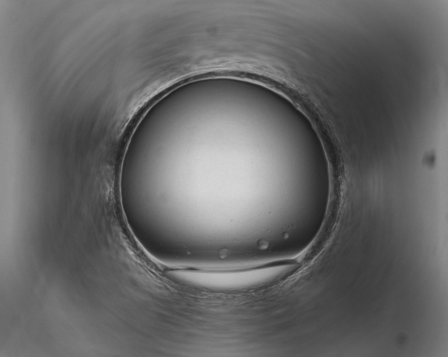 X0000116371505200912161426