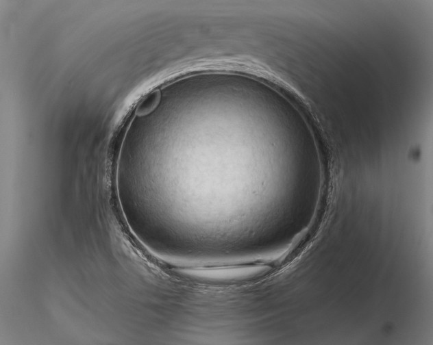 X0000116371506200912161426