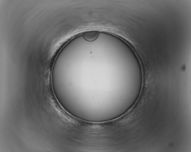 X0000116371507200912161426