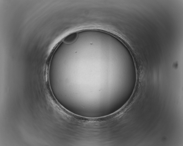 X0000116371510200912161426