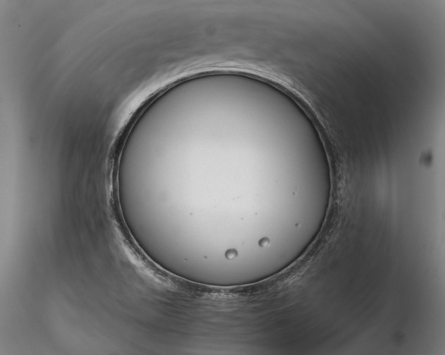 X0000116371511200912161426