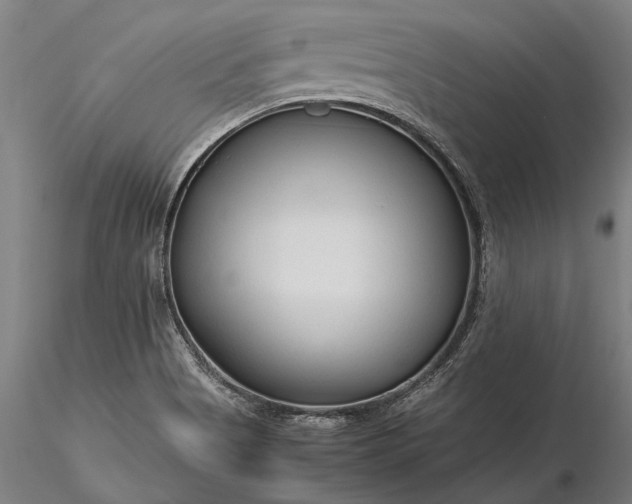 X0000116371513200912161426