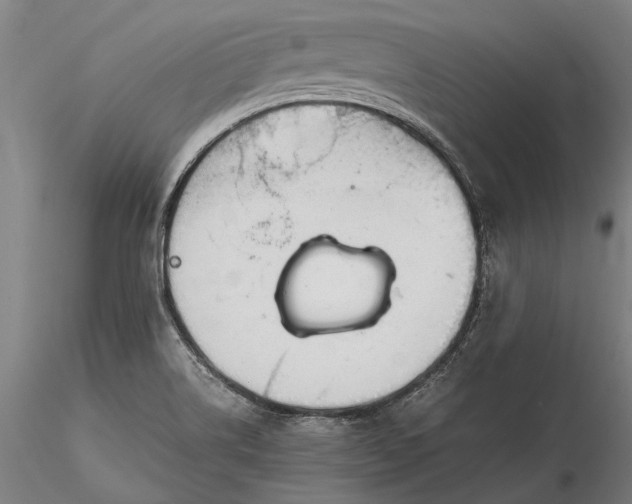 X0000116371514200912161426