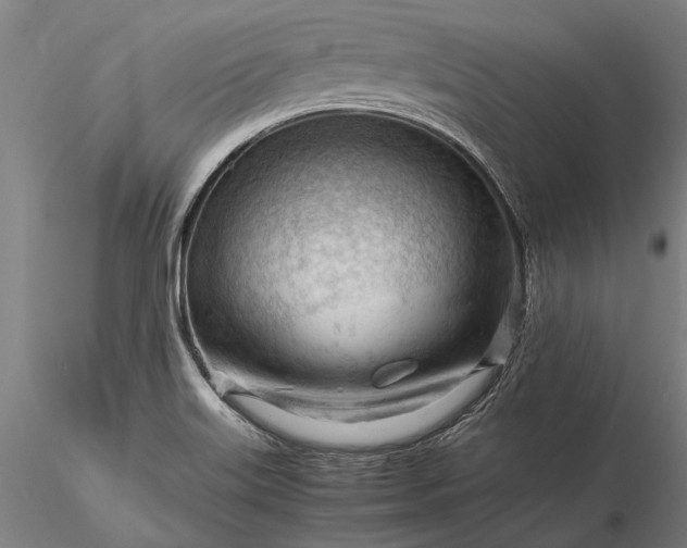 X0000116371515200912161426