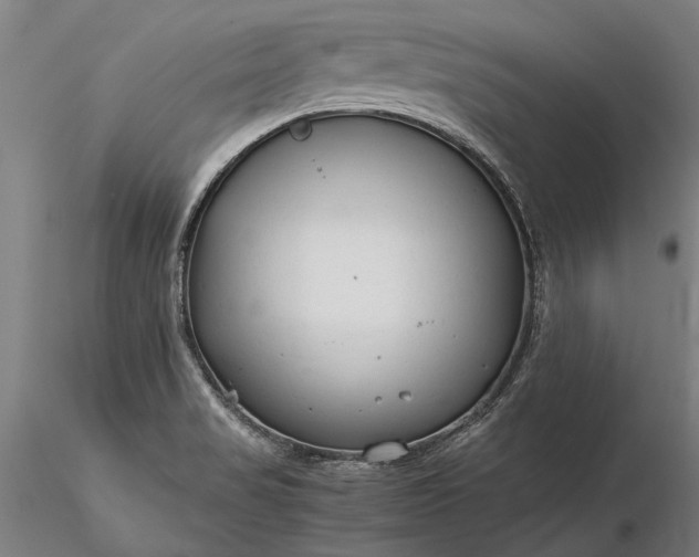 X0000116371517200912161426