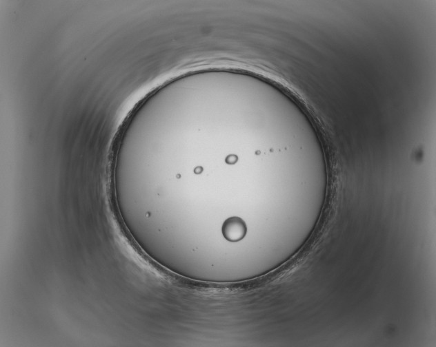 X0000116371518200912161426