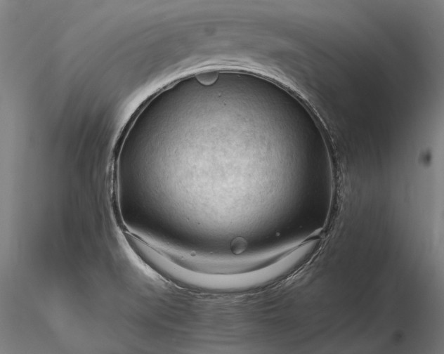 X0000116371519200912161426