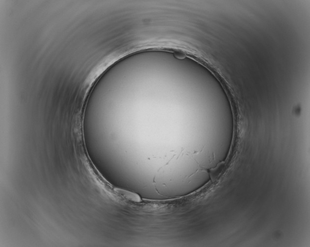 X0000116371521200912161426