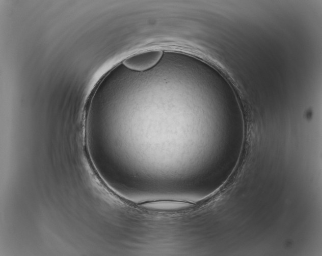 X0000116371522200912161426