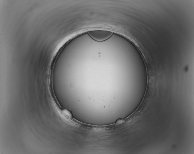 X0000116371523200912161426