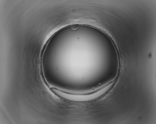 X0000116371525200912161426