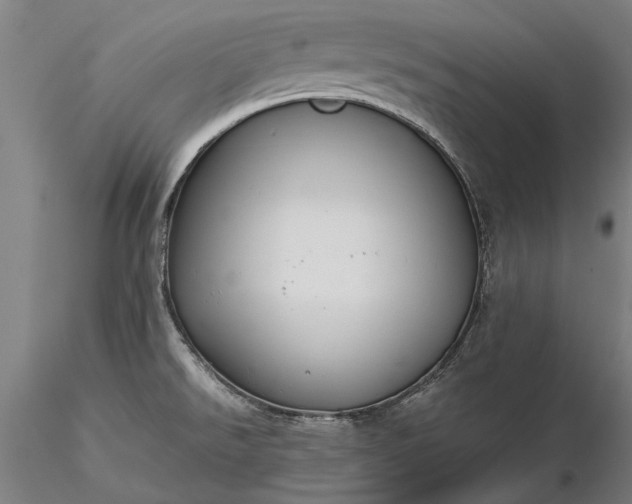 X0000116371526200912161426