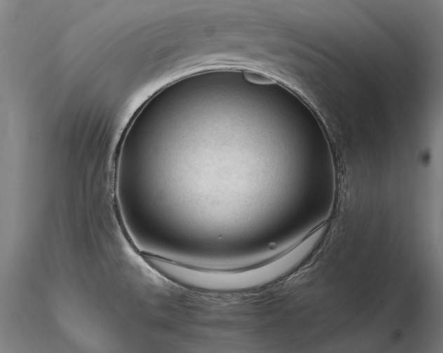 X0000116371527200912161426