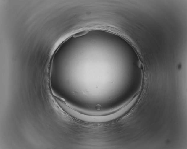 X0000116371530200912161427