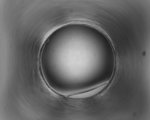 X0000116371533200912161427