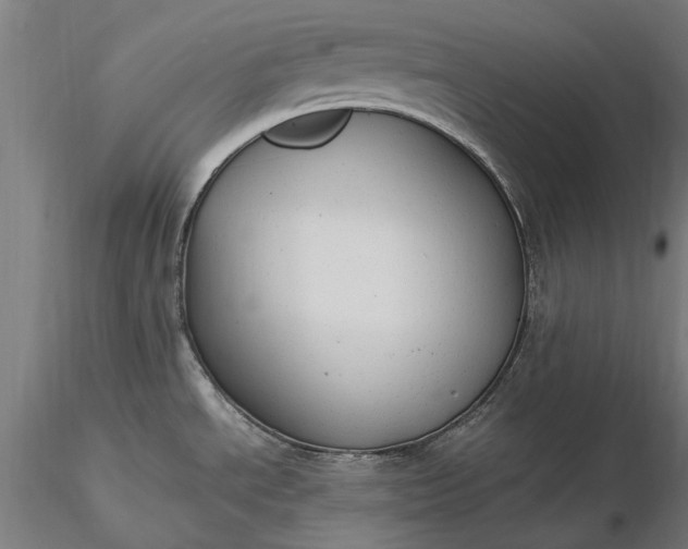 X0000116371534200912161427