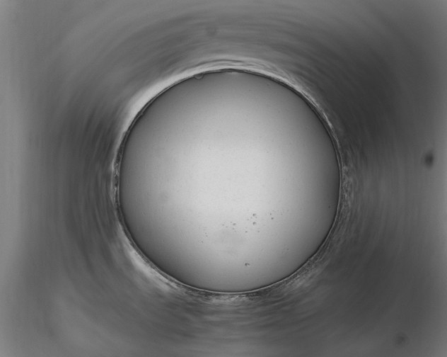 X0000116371535200912161427