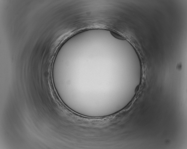 X0000116370001200912231325