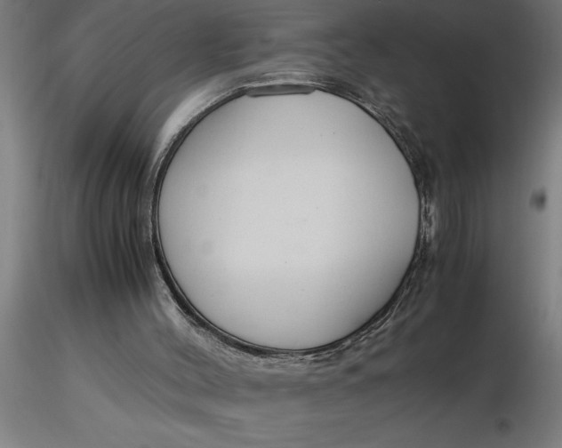 X0000116370004200912231325