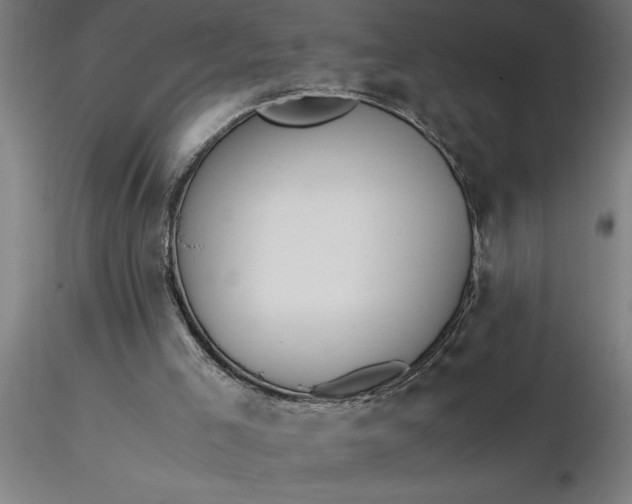 X0000116370005200912231325