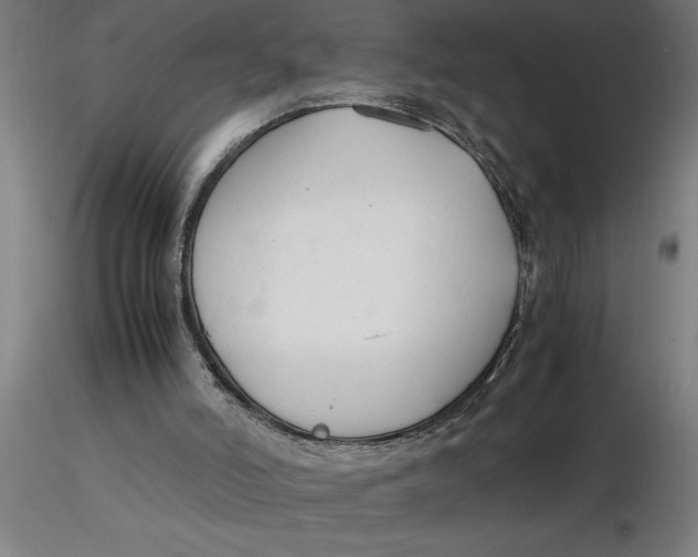 X0000116370006200912231325