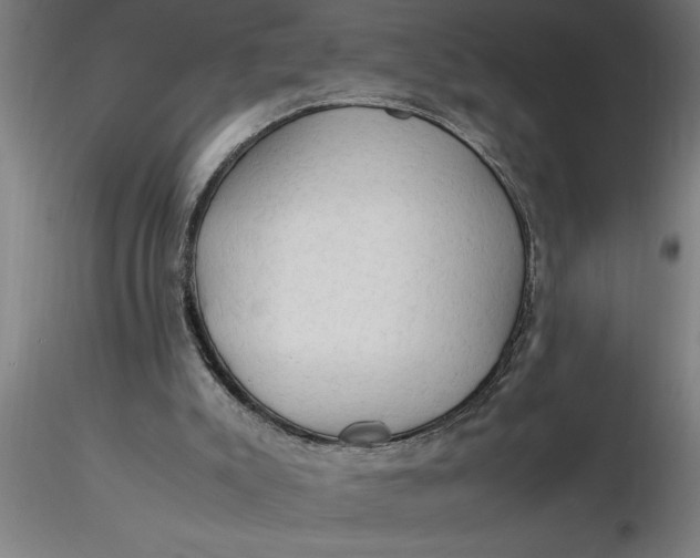 X0000116370007200912231325