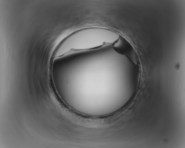 X0000116370008200912231325