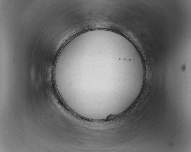 X0000116370010200912231325