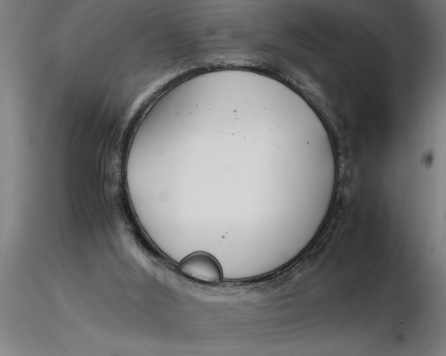 X0000116370012200912231325