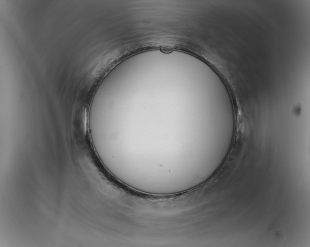 X0000116370013200912231325