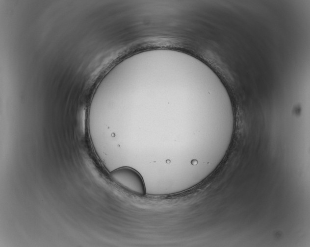 X0000116370014200912231325