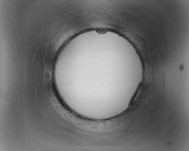 X0000116370015200912231325