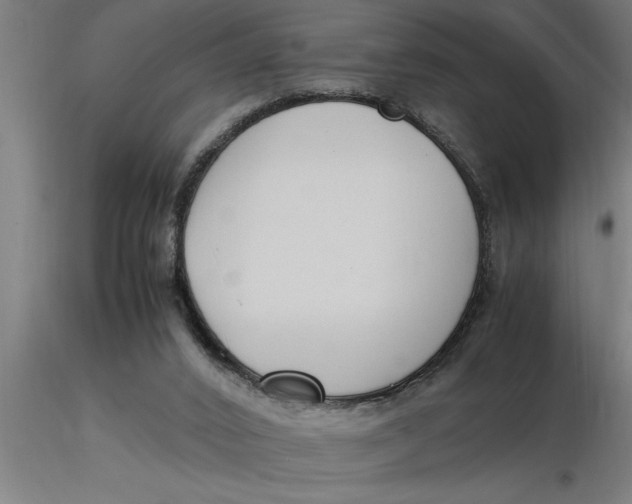 X0000116370016200912231325