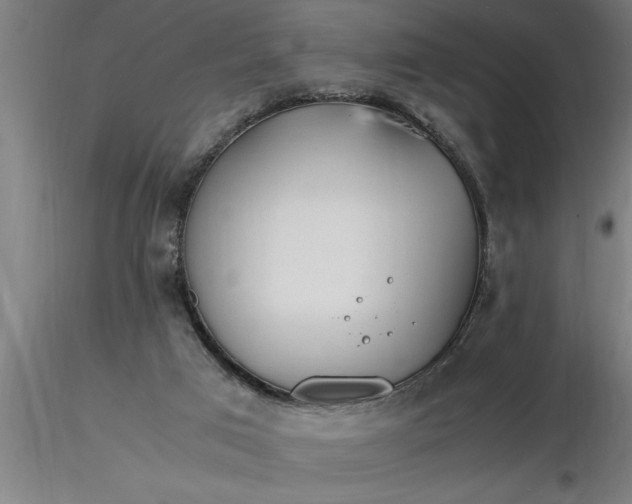 X0000116370017200912231325